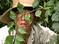 レイプ 室内/野外/複数 暴行 （DOD）
