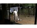 艶っぽい母 男が群がる好色の肉体/交通刑務所から帰った母