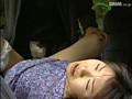 性犯罪 単独犯行/野外暴行編 （DOD）