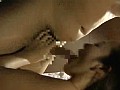性 嫁と父/婿と母 （DOD）