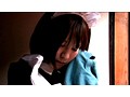 私を好きにしてください… 純情メイド物語 第二章