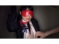 カメリアコンプレックス 現代の奴隷と呼ばれる裏風俗で働く女 れな