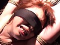 LOLITA BOMB！