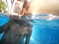 超ド迫力セレブ圧迫吸引殺し！