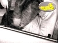 ◆発情◆ 素人カップル車内交尾 4 盗撮4時間