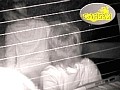 ◆発情◆ 素人カップル車内交尾 4 盗撮4時間