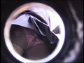 黒パンスト女子校生パンチラ逆さ撮り Vol.3