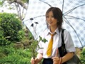 チャンピオン関根 秘蔵素材ディレクターズカット 純白アゲイン もう一度キミに触れたい