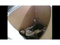 ウソでしょ！？オバサンをからかわないで…働く熟女と痴漢客 2