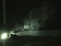 ナンパした素人娘を心霊スポットに連れて行き、超リアルな化け物に犯られる