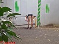 ●玉県川●市住宅街や中●区の運動公園付近でジョギングしていた女をひたすら付け狙い、汗まみれの体育会系発情雌豚を車で拉致して、輪姦レイプ。 （DOD）