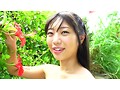 【数量限定】Matsuri3 ほりでー☆からふるあいらんど/桐谷まつり チェキと生写真付き