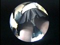 JKつけまわしパンチラDX 3 （DOD）