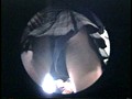 JKつけまわしパンチラDX 3 （DOD）