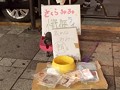 現役地下アイドルさくらみみCD売上ノルマ達成ならず 落ち武者丸刈りスキンヘッド懺悔ライブの刑に処する。