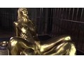 金粉奴隷シスター 神波多一花