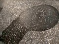 トイレを我慢できず野ションする彼女を激撮！ （DOD）