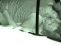 超接近盗撮！カーセックス4 ～ホテルまで我慢できないカップル達～