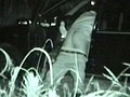 超接近盗撮！カーセックス4 ～ホテルまで我慢できないカップル達～