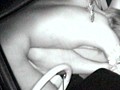 リアル！近接盗撮カーセックス4時間 特別総集編