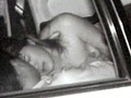 リアル！近接盗撮カーセックス4時間 特別総集編
