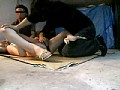 小生意気なギャルばかりを狙ったレイプ投稿 被害者20人