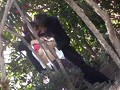 リアル盗撮！夜（昼）の公園で青姦カップルを激撮！！ 4
