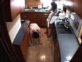 気持ち悪い男の居る家 一日過ごして汚いキモ男の精子を集めて下さい 楓まお