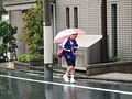 軟体スワン。れんちゃん。