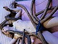 触手堕ち！異種孕ませ極限快楽FUCK 立花瑠莉