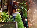 某花屋で働く看板娘あやめちゃん（仮）AVデビュー！神対応で人気な地味カワ女子は肉厚パイパン神ま●こ！！ 依頼ナンパVol.10
