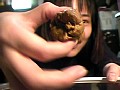 排便量測定