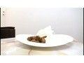 うんこでち○こ フェラ面接