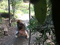 脱糞アナルモザ無し！湘南 野グソ盗撮20名！