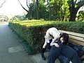 露出中毒～見られる悦楽に堕ちる熟女たち