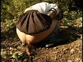 解禁 少女排便大全集