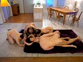 ラブキモメン きみの歩美