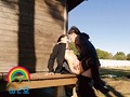 オマ●コ露出ビデオ ひびき（仮名） 大槻ひびき【アウトレット】
