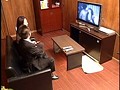 騙し撮り お仕置きAV鑑賞会 Vol.2
