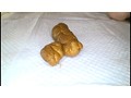 本気グソ！！リクルートスーツの素人娘たち 極太ウンコで朝食チェック 2