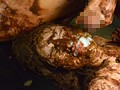 大便拷問研究所 ～危険な扉！恥辱まみれの快楽堕地獄～ 塚本アンナ