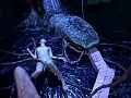 触獣丸呑みアクメ 小澤マリア