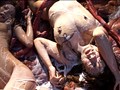 触手アクメ 藤崎クロエ 紗奈
