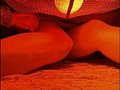嫁 亭主に毎日毎晩やられて満足新妻/亭主だけじゃ物足りない好き者女/亭主は出稼ぎ嫁は親父とねんごろ （DOD）