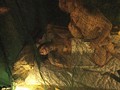 素人わけあり熟女生中出し 024