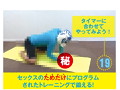 【男性版】セックスのための筋トレ・テクニック＆ダイエット『Dr.セク虎のセクトレ』