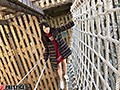 【数量限定】エスカレートするドしろーと娘 306 みくちゃん21さい 生写真3枚付き