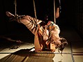 「緊縛飼育～危険な毒花～1」 C/W「縄縛幻想」 かなで自由