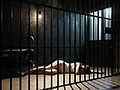 「緊縛飼育～危険な毒花～1」 C/W「縄縛幻想」 かなで自由