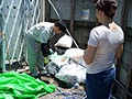 月・水・金のゴミの日の朝、夫に内緒で時短中出しされる人妻 友田真希